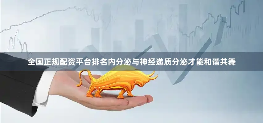 全国正规配资平台排名内分泌与神经递质分泌才能和谐共舞