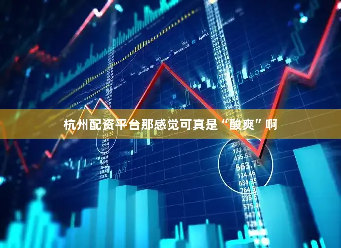 杭州配资平台那感觉可真是“酸爽”啊