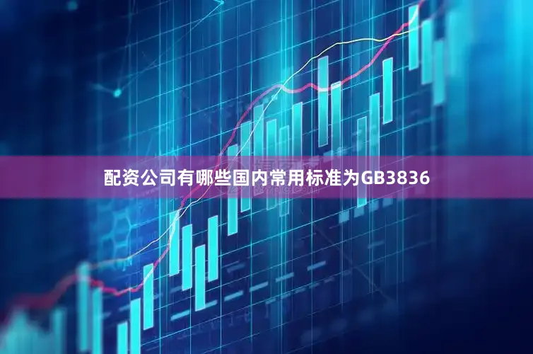 配资公司有哪些国内常用标准为GB3836