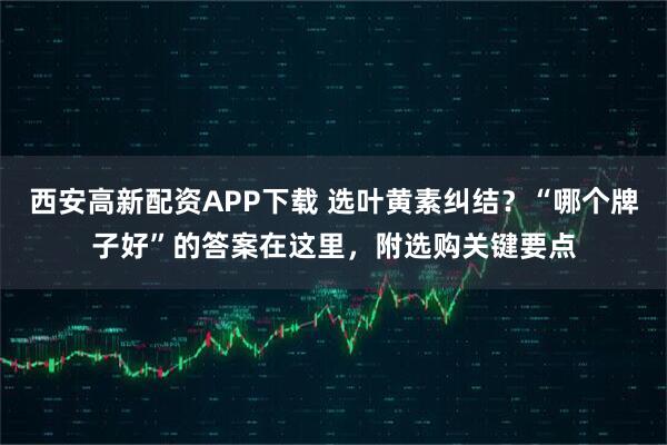 西安高新配资APP下载 选叶黄素纠结？“哪个牌子好”的答案在这里，附选购关键要点